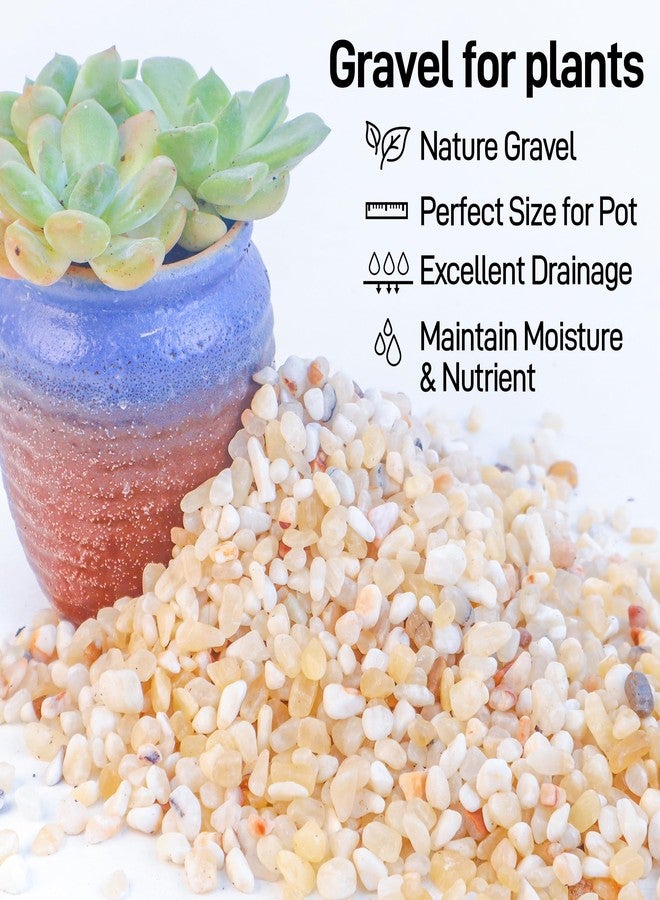 CJGQ 2.4lb Aquarium Gravel for Plants,1/5 Inch Natural Decorative River Rocks for Succulent and Cactus Landscaping, Natural Small Rocks for Fish Tanks, Vases & Terrariums - Image 3